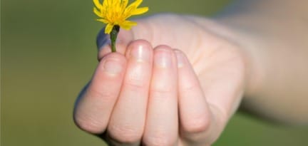 hand 3978193 1920