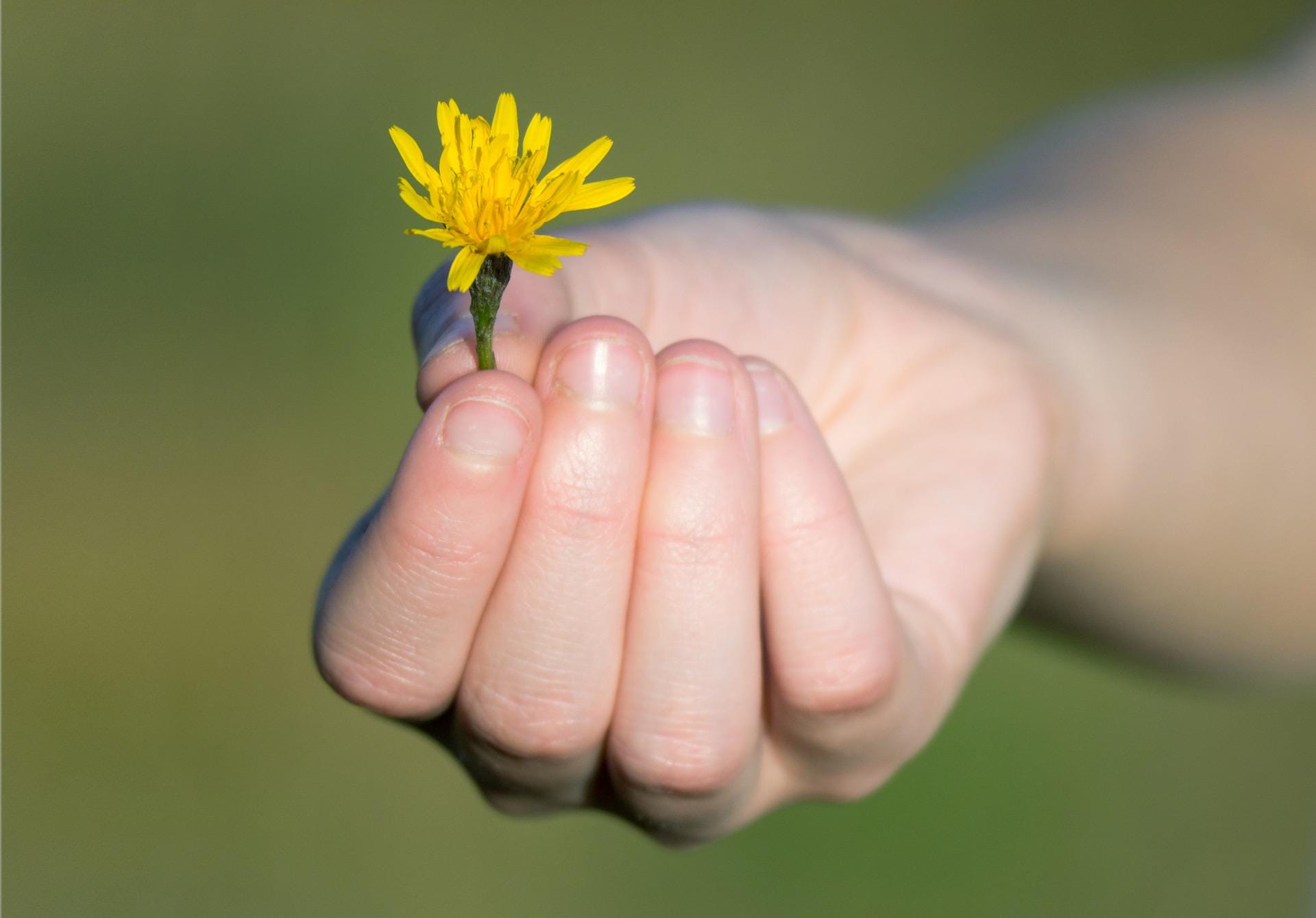 hand 3978193 1920